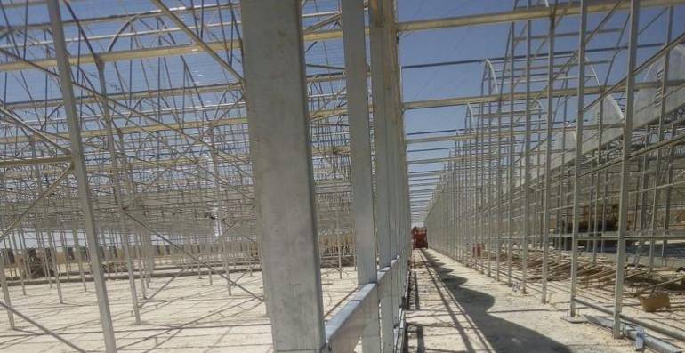 Green House flowering 20000m2 Area